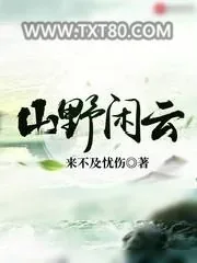 《山野闲云》小说封面