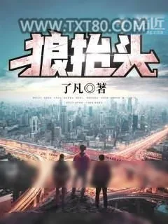 《狼抬头》小说封面