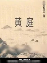 《黄庭》小说封面
