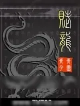 《赋龙》小说封面