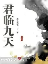 《君临九天》小说封面