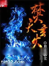 《焚天玄火》小说封面