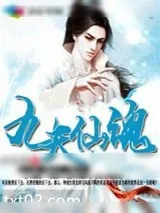 《九天仙魂》小说封面