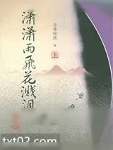 《潇潇雨飞花溅泪》小说封面