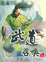 《武道之召唤》小说封面