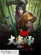 《星战大宗师》小说封面