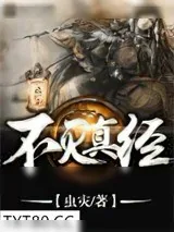 《不灭真经》小说封面