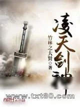 《凌天剑经》小说封面