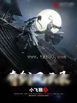 《奇剑风云录》小说封面