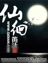 《仙徊》小说封面