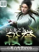 《天龙之段誉》小说封面