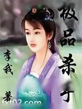 《极品杀手》小说封面