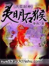 《灵明石猴》小说封面