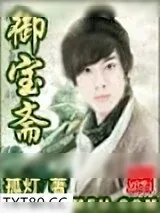 《御宝斋》小说封面
