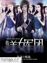 《我的美女军团》小说封面