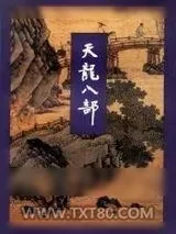 《天龙八部》小说封面
