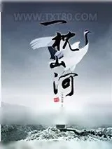 《一枕山河》小说封面