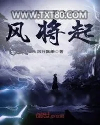 《风行录之风将起》小说封面