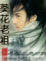 《葵花宝典》小说封面