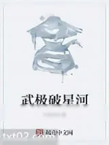 《武极破星河》小说封面