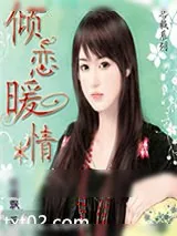 《倾恋暖情》小说封面