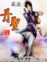 《丹圣》小说封面