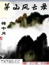 《茅山风云录》小说封面