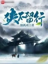 《大武侠》小说封面
