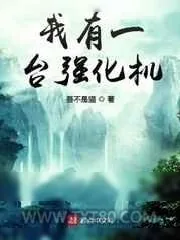 《我有一台强化机》小说封面