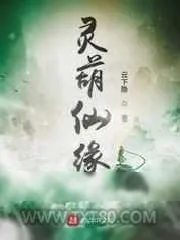 《灵葫仙缘》小说封面