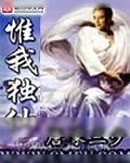《惟我独仙》小说封面