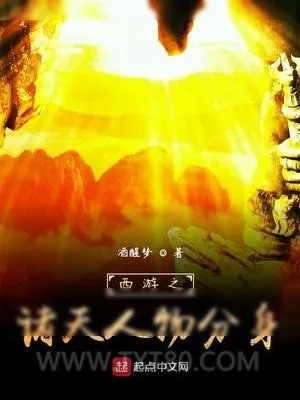 《西游之诸天人物分身》小说封面