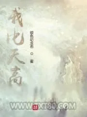 《我比天高》小说封面
