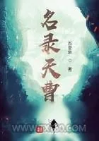《名录天曹》小说封面