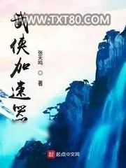《武侠加速器》小说封面