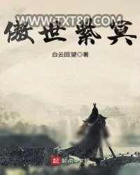 《傲世紫冥》小说封面