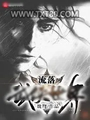 《流落武侠世界》小说封面