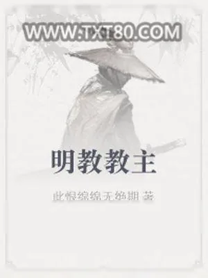 《明教教主》小说封面