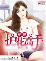 《绝世护花高手》小说封面