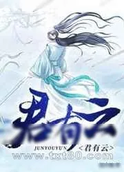 《君有云》小说封面
