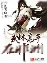 《武林高手在非洲》小说封面