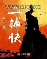 《天下第二捕快》小说封面