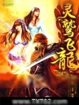 《灵鹫飞龙》小说封面