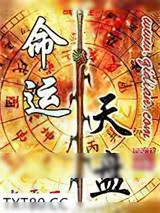 《命运天盘》小说封面