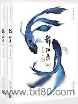 《舞阳风云录》小说封面