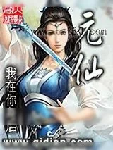 《元仙》小说封面