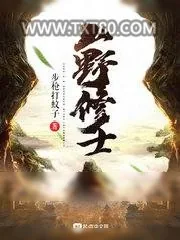 《山野修士》小说封面