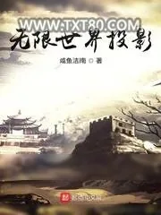 《无限世界投影》小说封面