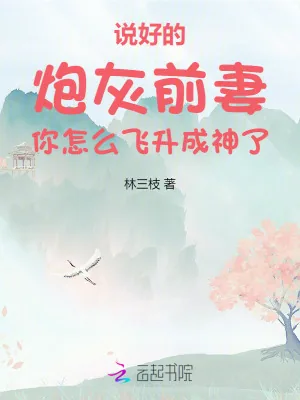 《说好的炮灰前妻你怎么飞升成神了》小说封面