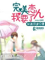 《完美恋人我要了》小说封面